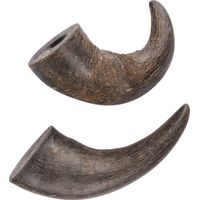 2 cornes de buffle séché small Nature snack, pour chiens - animallparadise