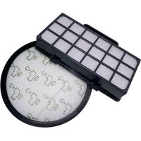 HEPA Filters for Rowenta XTrem Power CycloniRO6984EA RO6941EA RO6963EA RO6921EA RO6971EA RO6993EA (Model RO69XX) Vacuum Cleaners, Replacement Filter Accessories ZR006001 (Pack of 2)