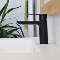 Mitigeur de lavabo noir, Agora