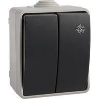 Wirtschaftlicher doppelter wasserdichter Schalter Schrumpfverpacktes EDM IP44 R64037
