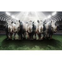 Tableau sport rhinos rugby club - 80x50 cm