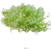 Piquet d'herbe de Corail factice H30cm plastique extérieur Blanc-vert - couleur: Blanc-vert