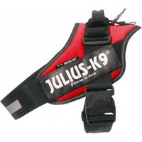 Julius Arnés para Perros IDC 1 Azul