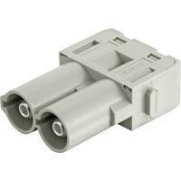 Stiftmodul 09140022646 HARTING Inhalt: 1 St. Stiftmodul