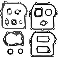 Kit de joints pour Briggs & Stratton 590777, kit complet de joints moteur 794209 699933 298989