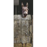 PLAGE 141005 Adesivo per pareti e Porte, Formato Grande, Trompe L'Oeil Porta-Culo, 204 x 83 cm