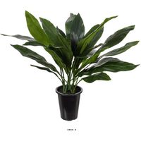 Aspidistra artificiel en pot, feuillage dense, H 75 cm, D 71 cm