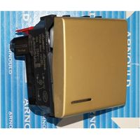 Arnould 25222 Satin Gold Luminous Switch - 2 Modules - S.Living