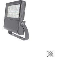 Proiettore Da Est. 100W As.150°X75°230V 5500K Ip66 ( PLAYLED cod. BGHP22100AF )