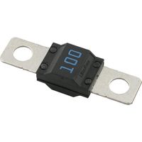 Sicherung Streifen 100A Länge 41mm blau 1 Stk. UNIVERSAL SI20177