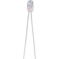 Barthelme 21109123 Micro ampoule incandescente 12 V 0.36 W T1 clair 1 pc(s)