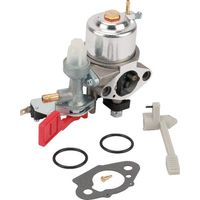 Vergaser BRIGGS ET STRATTON 595318