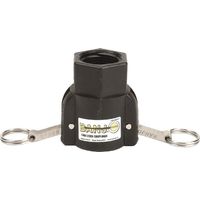 Camlock 1M Teil x 1" BSP IG Banjo BANJO 100DB