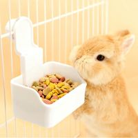 Rabbit bowls, cage water bowls, food and water bowls for puppies, cats, rabbits, guinea pigs, ferrets, and other small animals (white).