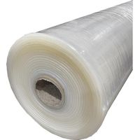 Rotolo di silicone in silicone transp. 60 Sh. Confort della FDA. 3,0 mm. 600x5000mm