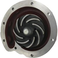 Wasserpumpe CASE IH 3138936R93