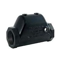 Airscoop Luftabscheider 3/4" IG
