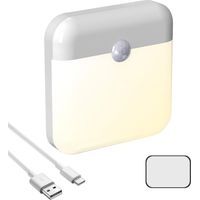 1 x Lampe à détection de mouvement rechargeable par USB (se branche pour la recharge)
