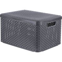 Storage Box with Lid Style L 30L Metallic Silver Curver