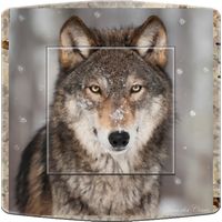 Interrupteur loup