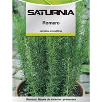 Semi di rosmarino aromatico (0,1 grammi) Orticoltura, Orticola, Semi di ortaggi.