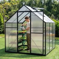Serre de jardin en aluminium et polycarbonate 3,13 m² - 177x177x192