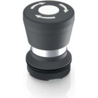 RAFI 1.30.276.001/2200 RAFIX 22 FS Pilzdrucktaster rastend (L x B x H) 29.8 x 29.8 x 42.1 mm 1