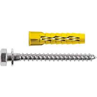 TASSELLO CON VITE TE E BORDO 'RX07' Ø 10x60 mm - vite 6x70 mm Q.TA 50
