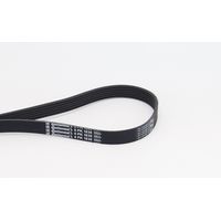 COURROIE TRAPÉZOÏDALE 6PK1836 CONTINENTAL