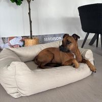 Lit pour chien SMALL - Série Roya