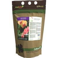 Kultiver kolischer Orchideenzahlung 1 kg