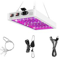 Lampe de culture LED 1000 W à spectre complet – Double canal VEG & BLOOM – 216 LED – Installation facile – Pour hydroponie et serres – Andiamo