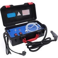 Tragbarer Hochtemperatur-Haushaltsreiniger 3000w 220V, Dampftemperatur: 100 - 130 ° C