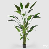 EDG Enzo De Gasperi Strelizia con Vaso x32 Pianta Artificiale H 215 Cm Verde