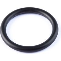 O-ring artic largo an-27 (100 unità)