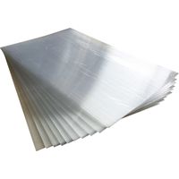 lastra di ricambio per carport auto eurogarden in policarbonato 155x94x0,4 cm