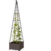 Enrejado Metálico para Plantas Trepadoras Maceta PP Drenaje Tapones 40x40x175 cm