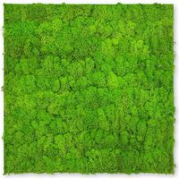 JANGAL Modular Wall Akustik 3D Paneele 520 x 520 mm Bright Green Moos Moos Pflanzenwand Paneele Echtmoos