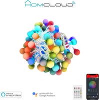 Catena luminosa decorata Smart Tuya WiFi con 66 perle a Led RGB-IC 10 metri Homcloud