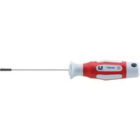 Cacciavite T25X100Mm Circumpro