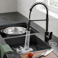 Mitigeur de Cuisine Noir avec Douchette Extractible à Ressort, Robinet d'Évier Pivotant à 360° en Laiton Eau Chaude et Froide 2 Jets