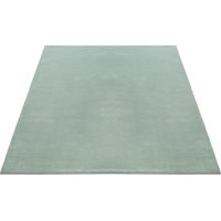 FLOORNOVO Hochflor Teppich Grün einfarbig - 290 x 200 cm - Besonders Weicher Teppich Wohnzimmer & Badezimmerteppich - Pflegeleicht - vielseitig einsetzbar im Innenbereich