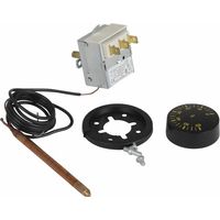 Termostato regolazione acqua a bulbo TR 2 0-60°