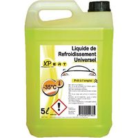 L铆quido refrigerante organique -35掳C - 5L XP LR35OR0005XP