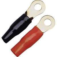 Sinuslive Capocorda ad anello HiFi per auto Kit da 2 50 mm² 8 mm