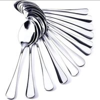 Lot de 12 Cuillères à Café Ovales en Acier Inoxydable Petites-12cm