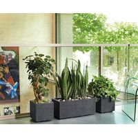 Pflanzkasten Millennium 59 cm L x 59 B x 25 H x 25