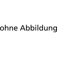 TSCHORN Feder für Kantentaster Gr. 1 VE10 Stück