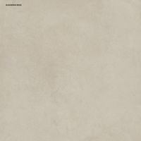 Bodenfliese Feinsteinzeug Alexandria 2.0 60 x 60 cm beige