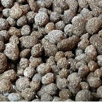 Biohome Biogravel ist ein neues Filtermedium für Aquarienfilter 1 kg